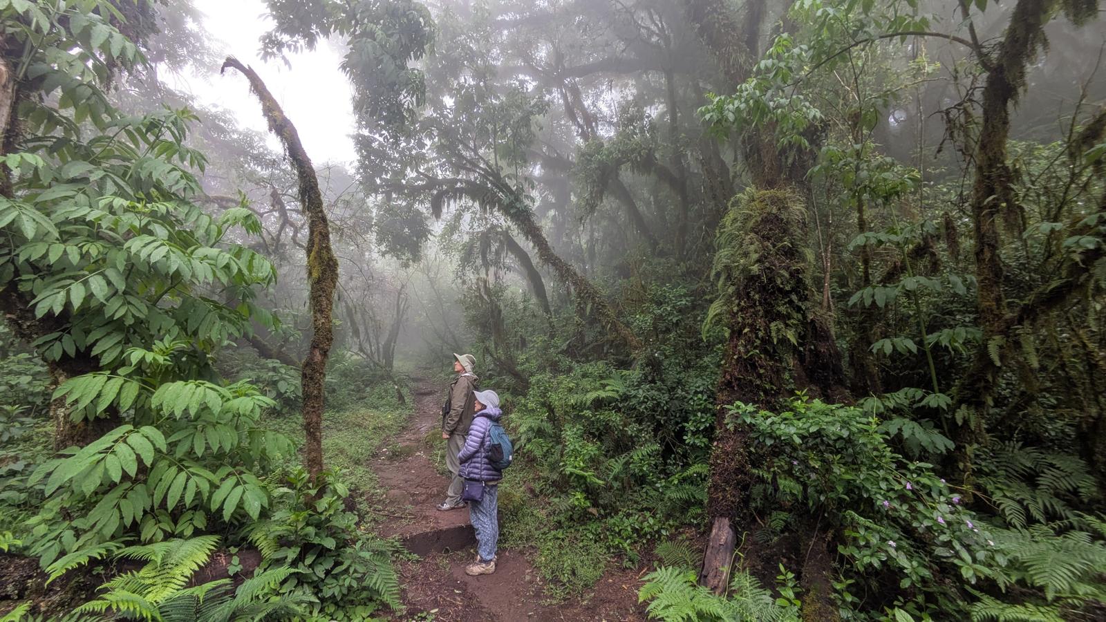 Lisa Zhi and Li Li, USA