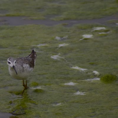 _DSC1535