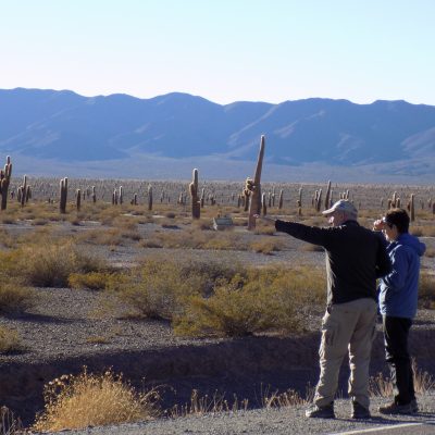 Los Cardones NP