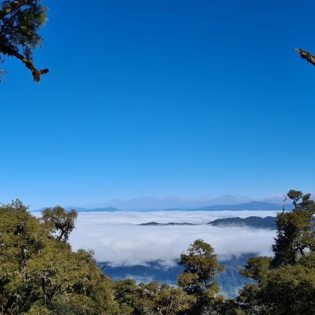 WhatsApp Image 2023-03-24 at 21.08.08